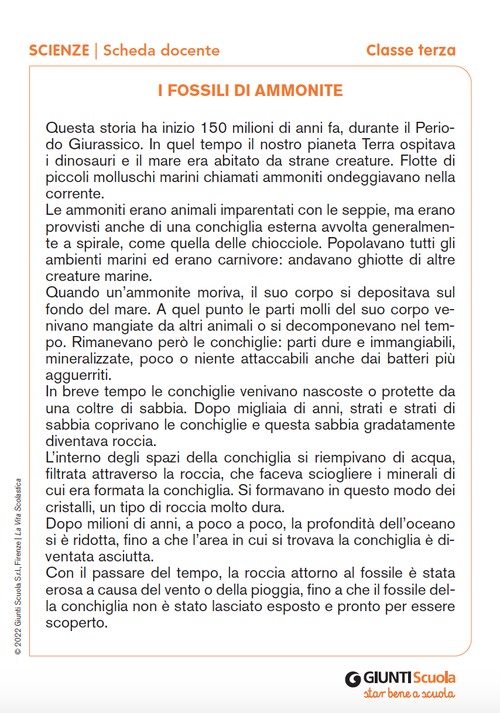 I fossili di ammonite | Giunti Scuola I fossili di ammonite | Giunti Scuola