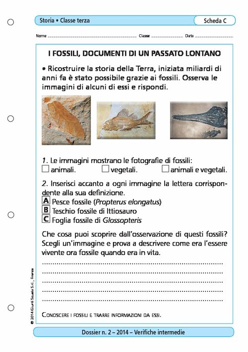 I fossili, documenti di un passato lontano | Giunti Scuola I fossili, documenti di un passato lontano | Giunti Scuola