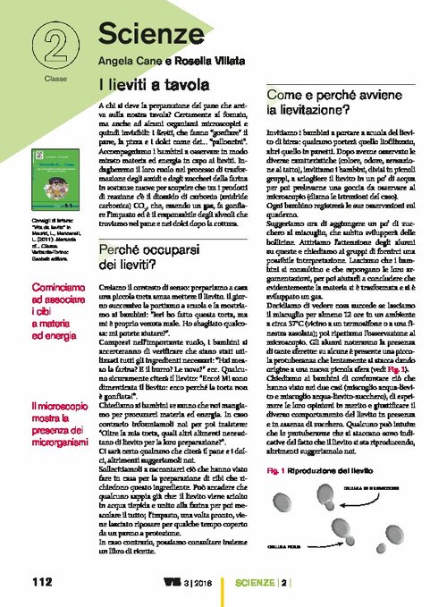 I lieviti a tavola | Giunti Scuola I lieviti a tavola | Giunti Scuola