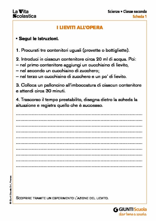 I lieviti all’opera | Giunti Scuola I lieviti all’opera | Giunti Scuola