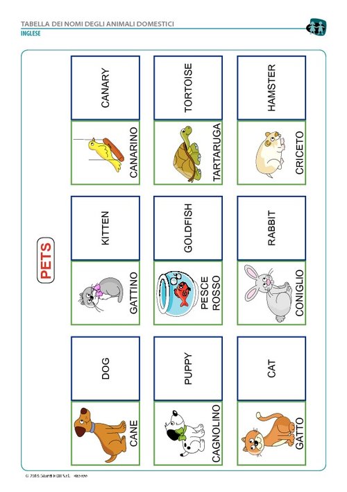 I nomi degli animali domestici (pdf) | Giunti Scuola I nomi degli animali domestici (pdf) | Giunti Scuola