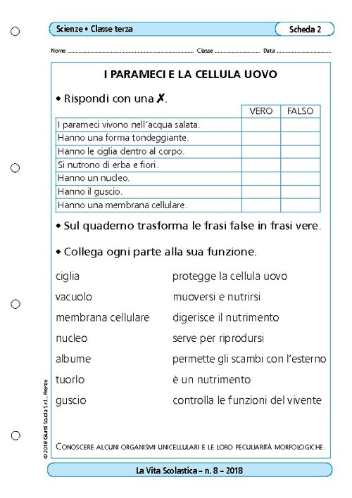 I parameci e la cellula uovo | Giunti Scuola I parameci e la cellula uovo | Giunti Scuola