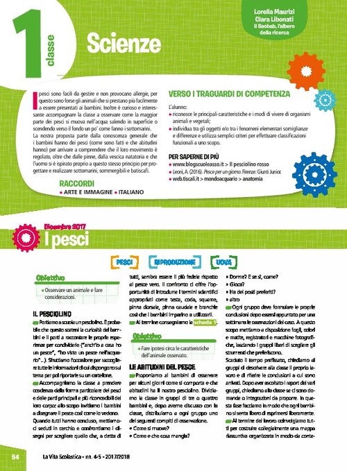 I pesci - Pesci come sommergibili | Giunti Scuola I pesci - Pesci come sommergibili | Giunti Scuola