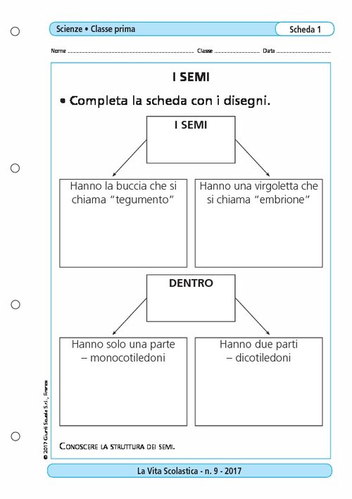I semi | Giunti Scuola I semi | Giunti Scuola