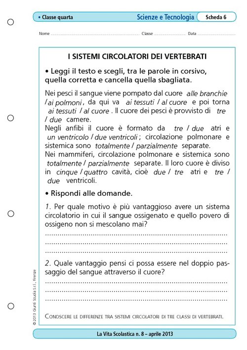 I sistemi circolatori dei vertebrati/2 | Giunti Scuola I sistemi circolatori dei vertebrati/2 | Giunti Scuola