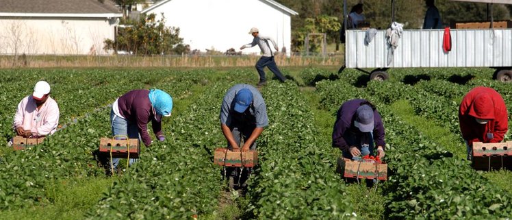 #iamamigrant, "sono un migrante"... e ti servo | Giunti Scuola #iamamigrant, "sono un migrante"... e ti servo | Giunti Scuola