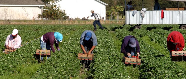 #iamamigrant, "sono un migrante"... e ti servo | Giunti Scuola