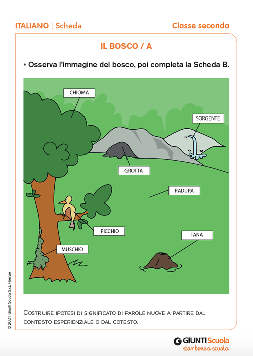 Il bosco A e B | Giunti Scuola Il bosco A e B | Giunti Scuola