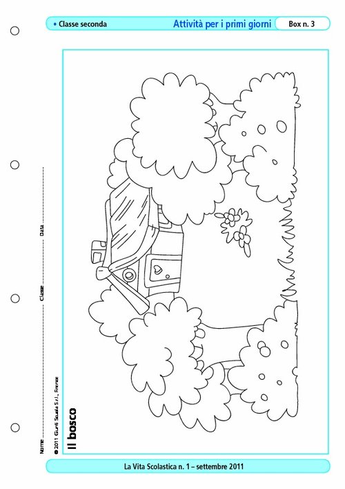 Il bosco | Giunti Scuola Il bosco | Giunti Scuola