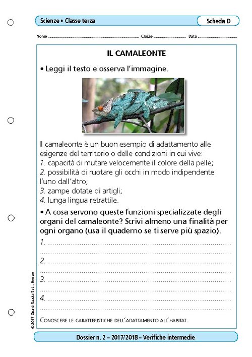Il camaleonte | Giunti Scuola