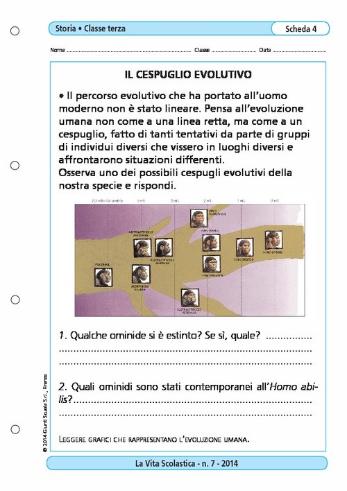 Il cespuglio evolutivo | Giunti Scuola Il cespuglio evolutivo | Giunti Scuola