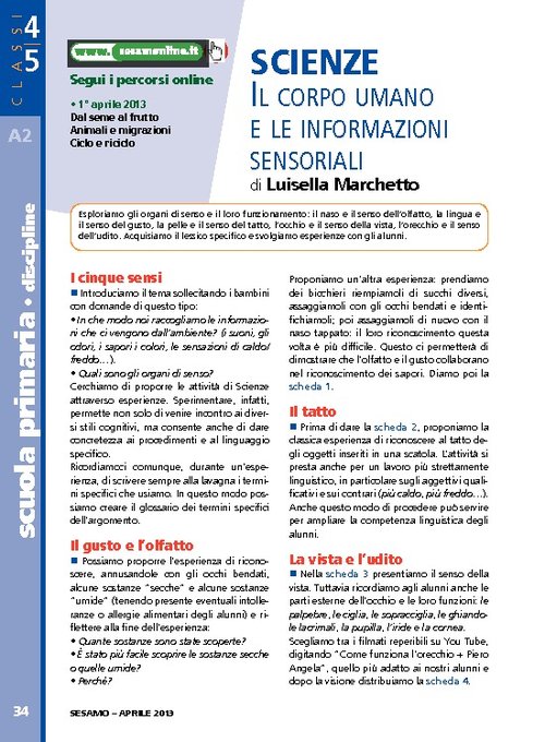 Il corpo umano e le informazioni sensoriali | Giunti Scuola Il corpo umano e le informazioni sensoriali | Giunti Scuola