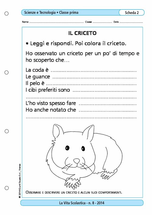 Il criceto | Giunti Scuola Il criceto | Giunti Scuola