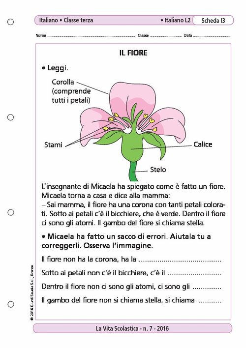 Il fiore | Giunti Scuola Il fiore | Giunti Scuola