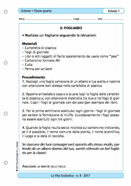 Il fogliario | Giunti Scuola Il fogliario | Giunti Scuola