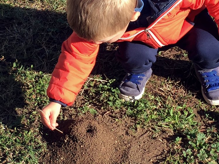 Il giardino del nido per conoscere ed esplorare | Giunti Scuola Il giardino del nido per conoscere ed esplorare | Giunti Scuola