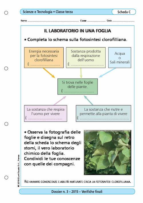 Il laboratorio in una foglia | Giunti Scuola Il laboratorio in una foglia | Giunti Scuola