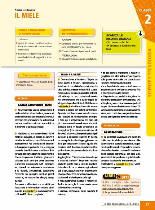 Il miele | Giunti Scuola Il miele | Giunti Scuola