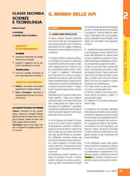 Il mondo delle api | Giunti Scuola
