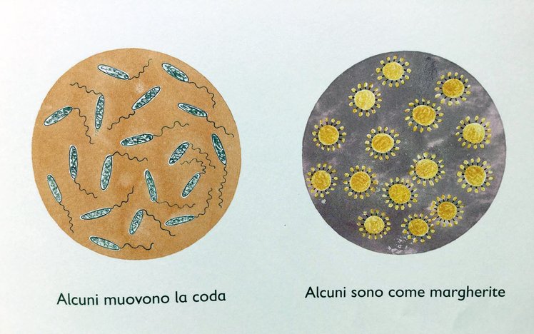 Il mondo invisibile per i più piccoli | Giunti Scuola