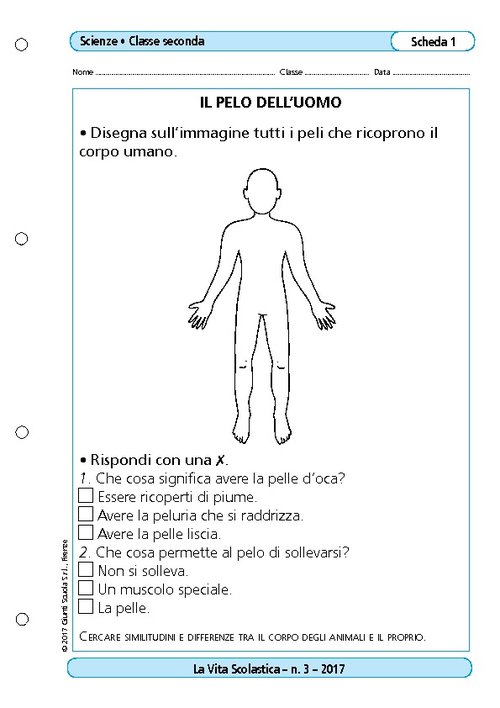 Il pelo dell'uomo | Giunti Scuola Il pelo dell'uomo | Giunti Scuola