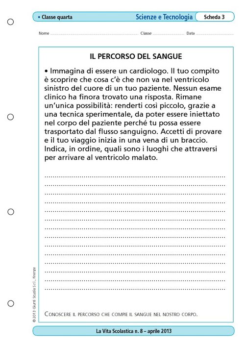 Il percorso del sangue | Giunti Scuola Il percorso del sangue | Giunti Scuola