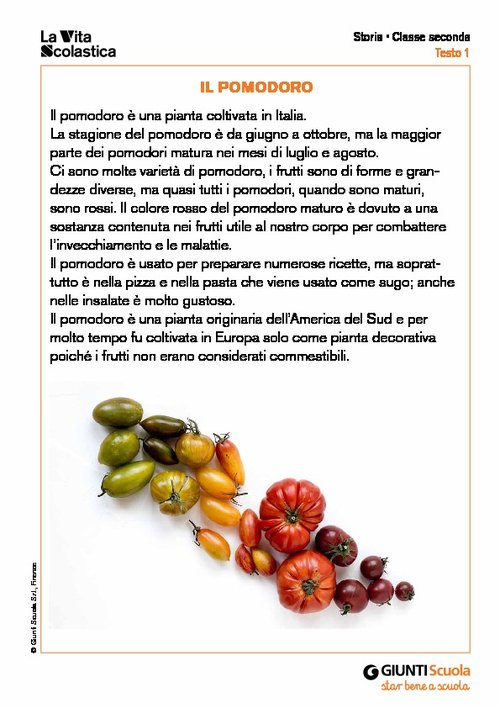 Il pomodoro | Giunti Scuola