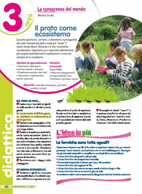 Il prato come ecosistema | Giunti Scuola Il prato come ecosistema | Giunti Scuola