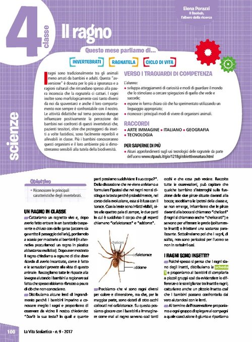 Il ragno | Giunti Scuola