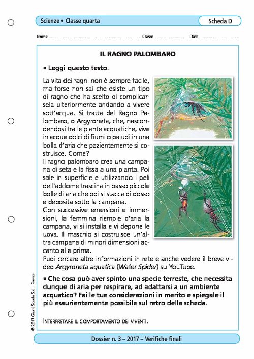 Il ragno palombaro | Giunti Scuola Il ragno palombaro | Giunti Scuola