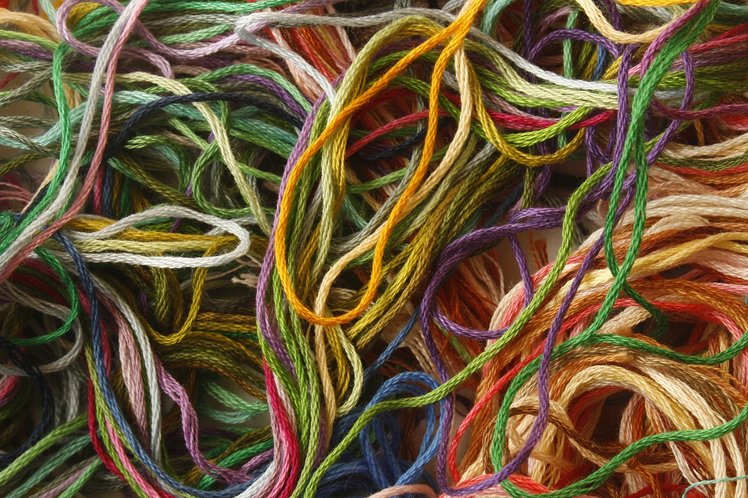 Il senso della continuità | Giunti Scuola