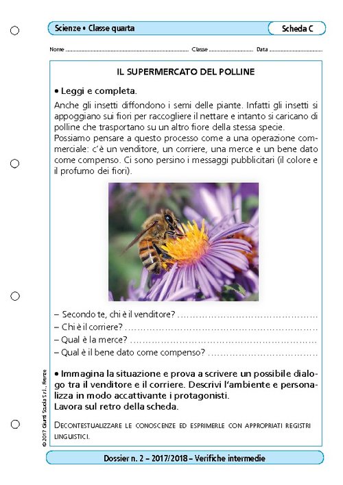 Il supermercato del polline | Giunti Scuola Il supermercato del polline | Giunti Scuola