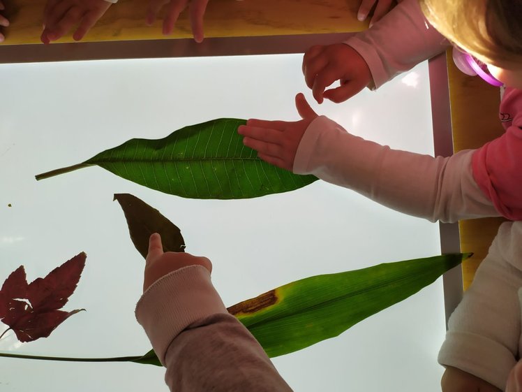 Il tavolo luminoso e i materiali naturali | Giunti Scuola Il tavolo luminoso e i materiali naturali | Giunti Scuola