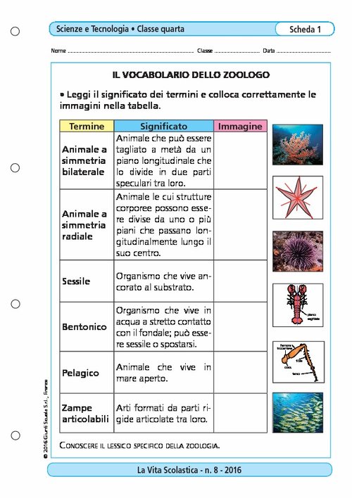 Il vocabolario dello zoologo | Giunti Scuola Il vocabolario dello zoologo | Giunti Scuola