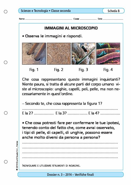 Immagini al microscopio | Giunti Scuola Immagini al microscopio | Giunti Scuola