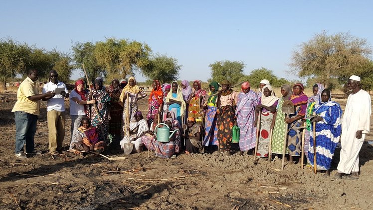 In Ciad: che meraviglia gli orti delle mamme! | Giunti Scuola