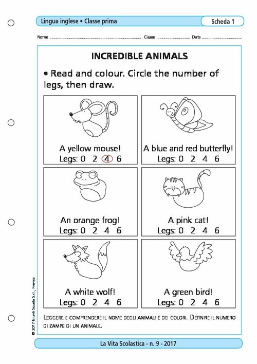 Incredible animals | Giunti Scuola Incredible animals | Giunti Scuola