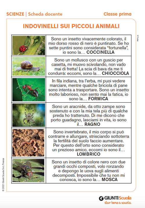 Indovinelli sui piccoli animali | Giunti Scuola Indovinelli sui piccoli animali | Giunti Scuola