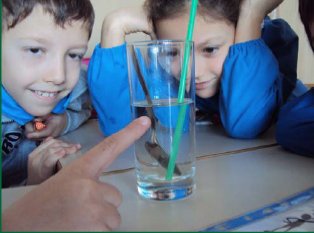 Insieme per fare Scienze. Un progetto educativo tra scuola e territorio | Giunti Scuola Insieme per fare Scienze. Un progetto educativo tra scuola e territorio | Giunti Scuola