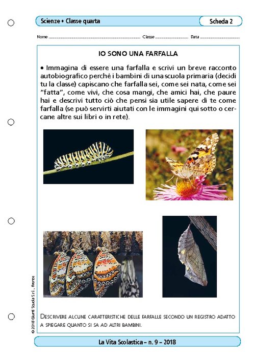 Io sono una farfalla | Giunti Scuola Io sono una farfalla | Giunti Scuola
