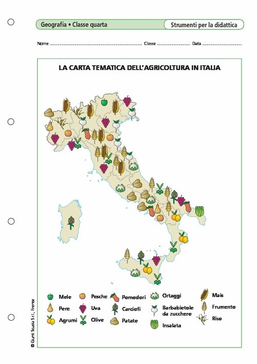 La carta tematica dell'agricoltura in Italia | Giunti Scuola La carta tematica dell'agricoltura in Italia | Giunti Scuola