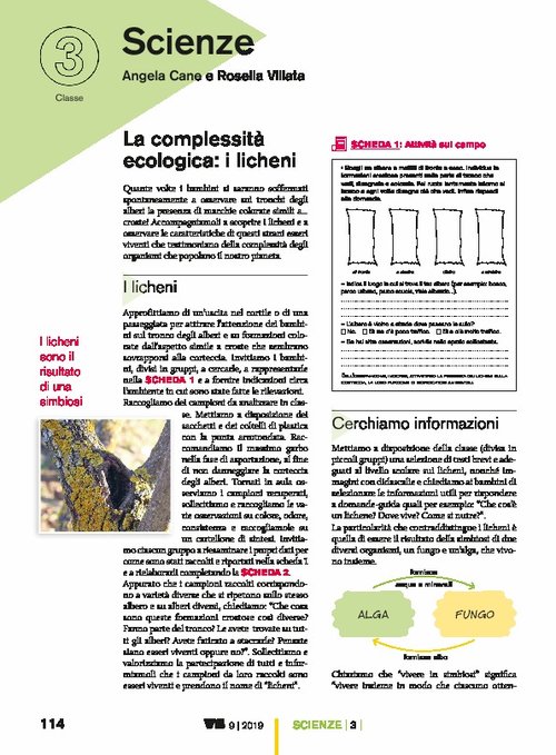 La complessità ecologica: i licheni | Giunti Scuola La complessità ecologica: i licheni | Giunti Scuola