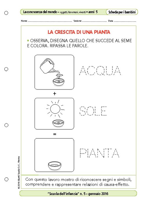 La crescita di una pianta | Giunti Scuola La crescita di una pianta | Giunti Scuola