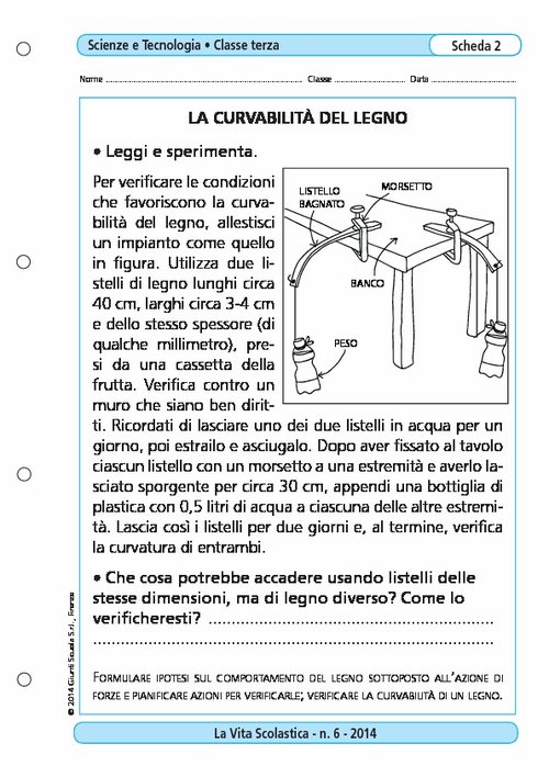 La curvabilità del legno | Giunti Scuola La curvabilità del legno | Giunti Scuola