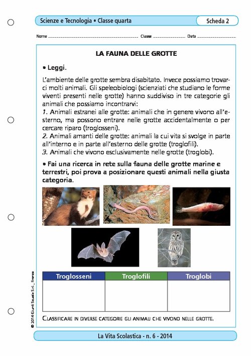 La fauna delle grotte | Giunti Scuola La fauna delle grotte | Giunti Scuola
