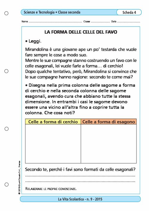 La forma delle celle del favo | Giunti Scuola La forma delle celle del favo | Giunti Scuola