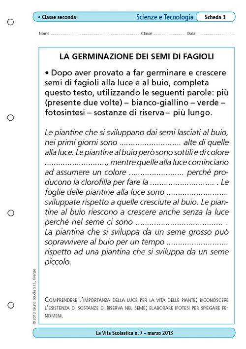 La germinazione dei semi di fagioli | Giunti Scuola La germinazione dei semi di fagioli | Giunti Scuola