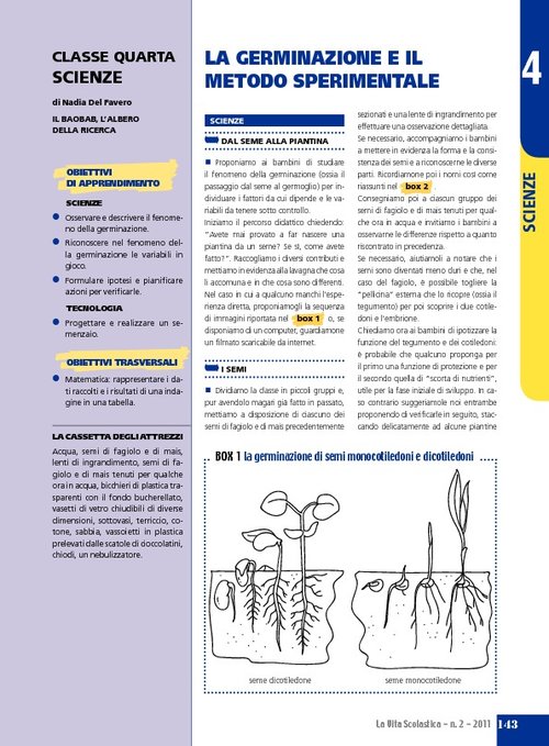 La germinazione e il metodo sperimentale | Giunti Scuola La germinazione e il metodo sperimentale | Giunti Scuola