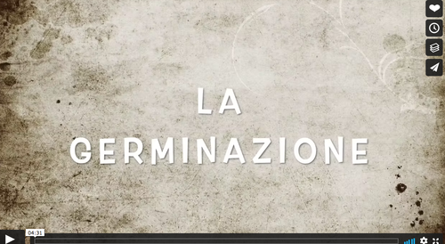 La germinazione | Giunti Scuola La germinazione | Giunti Scuola