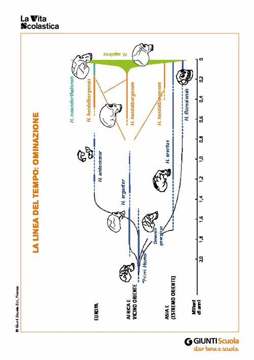 La linea del tempo: ominazione | Giunti Scuola La linea del tempo: ominazione | Giunti Scuola